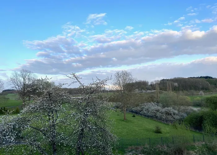 Lägenhet In Ettinghausen